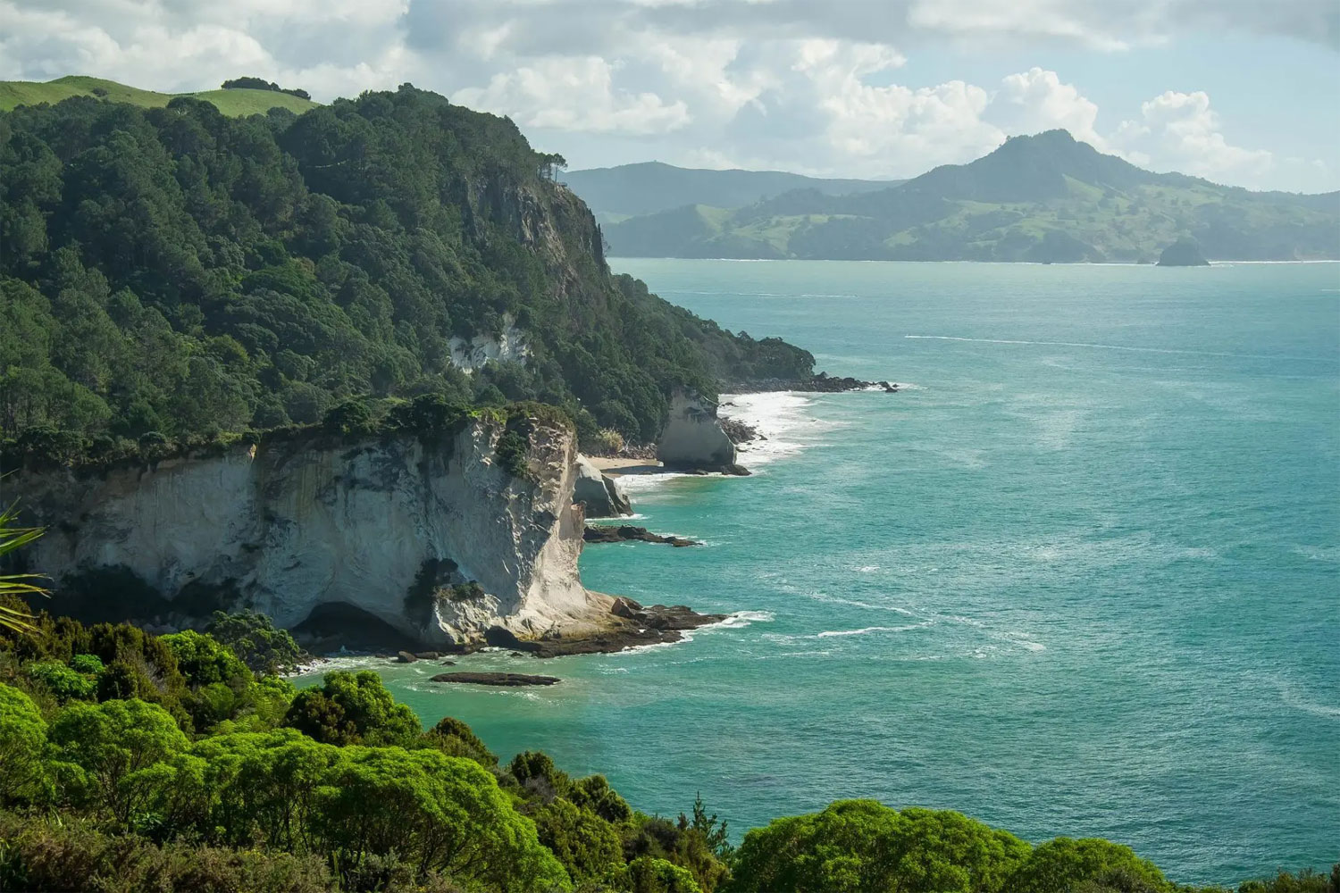 Cayana – Streamlining for Peak Performance and Retention